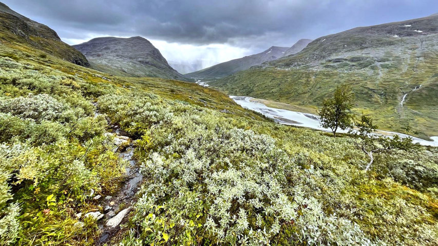 lapponia, sarek